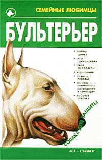 Бультерьер