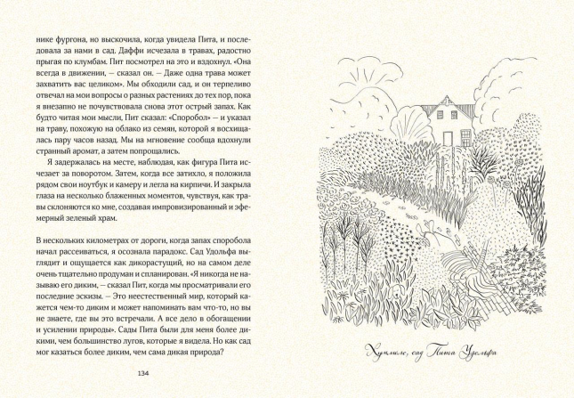 Маленькая книга счастья. Где прячется радость и как ее найти