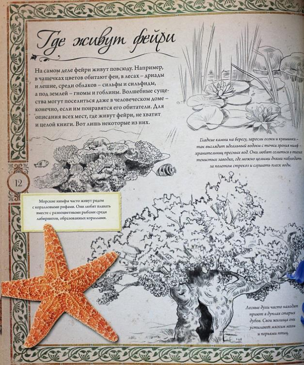 Волшебная страна