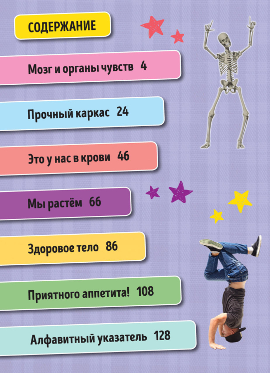 Всё о теле человека