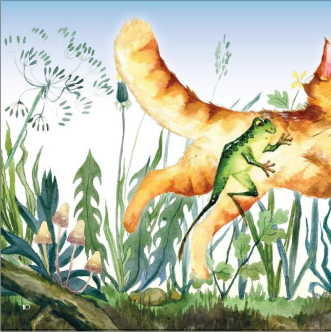 Оливкова та Рудий. Olive and Ginger