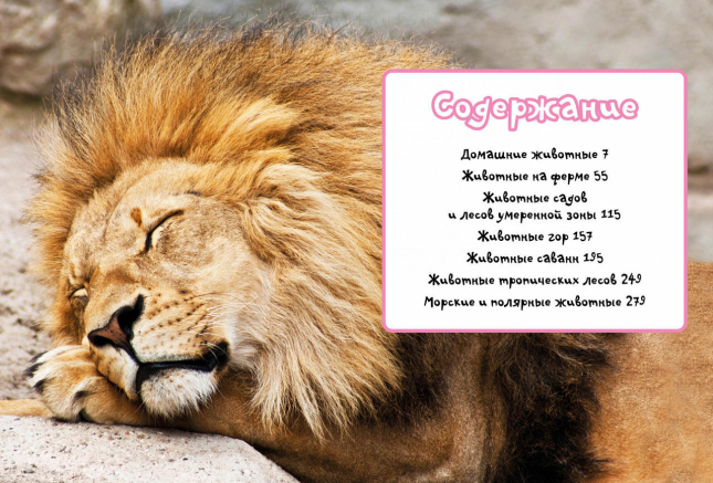 Моя любимая книга о животных