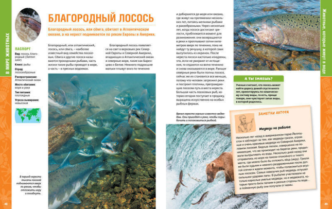 В мире животных. Энциклопедия