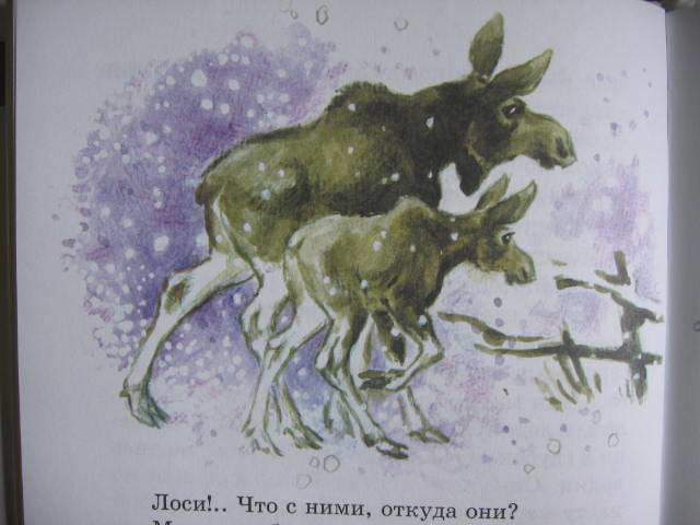 Рассказы о природе