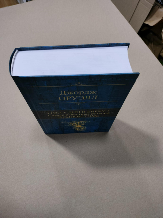 1984. Дни в Бирме. Самые известные романы в одном томе