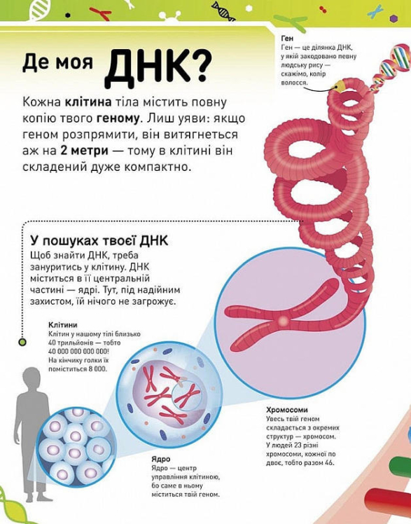 Надзвичайні ДНК. Шалені гени, незламні кодони, верткі хромосоми