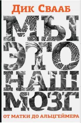 Мы – это наш мозг. От матки до Альцгеймера