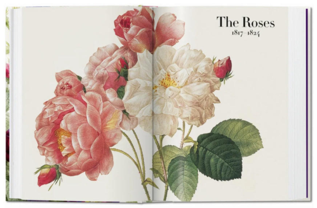 Redout‚. The Book of Flowers. 40th Ed.  / Редут. Книга квітів. 40-е вид. /   publishing house Taschen