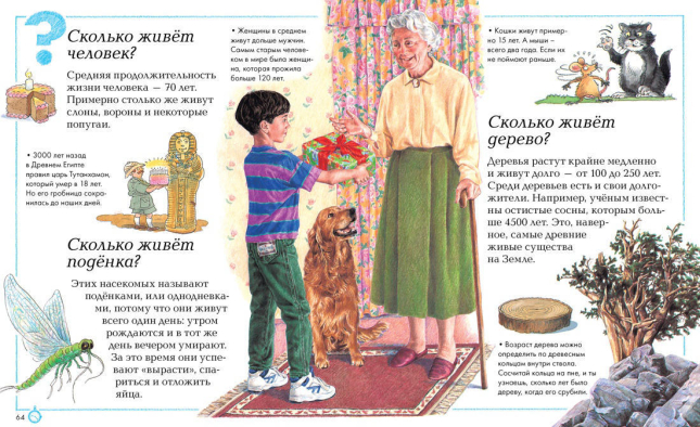 Отчего и почему? Энциклопедия для любознательных