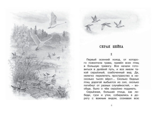 Серая Шейка