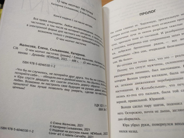 О чем молчит Ласточка  (688 стр., с картой лагеря)