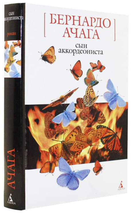 Сын аккордеониста (витринный экз.)