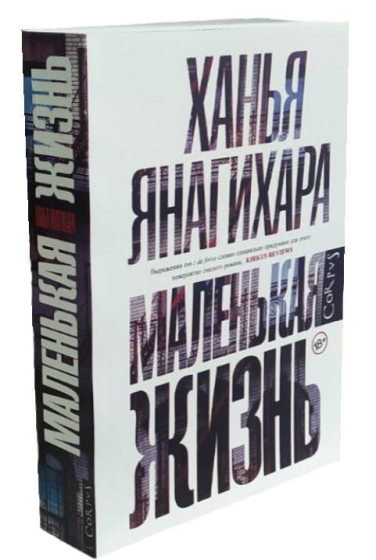Маленькая жизнь