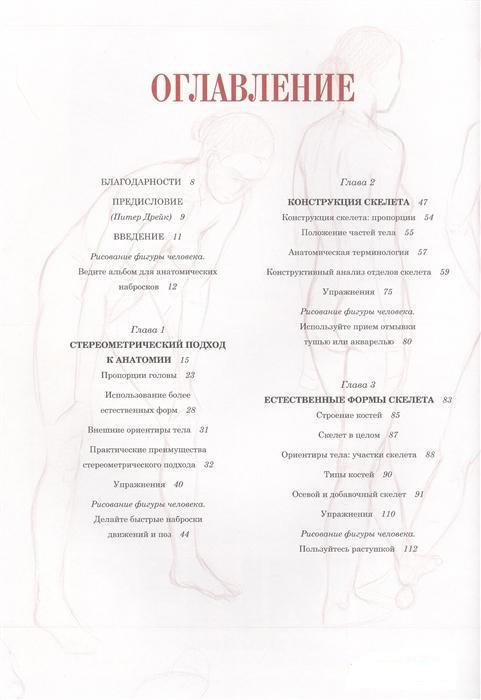 Основы анатомии человека. Наглядное руководство для художников  / Роберто Ости /