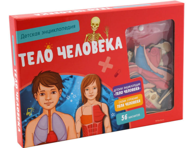 Тело человека. Детская энциклопедия (в коробке)