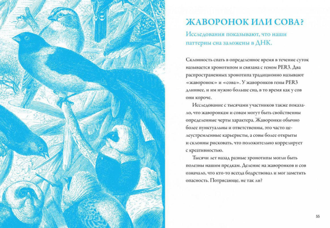 Маленькая книга хорошего сна. Для счастливого, энергичного и успешного дня