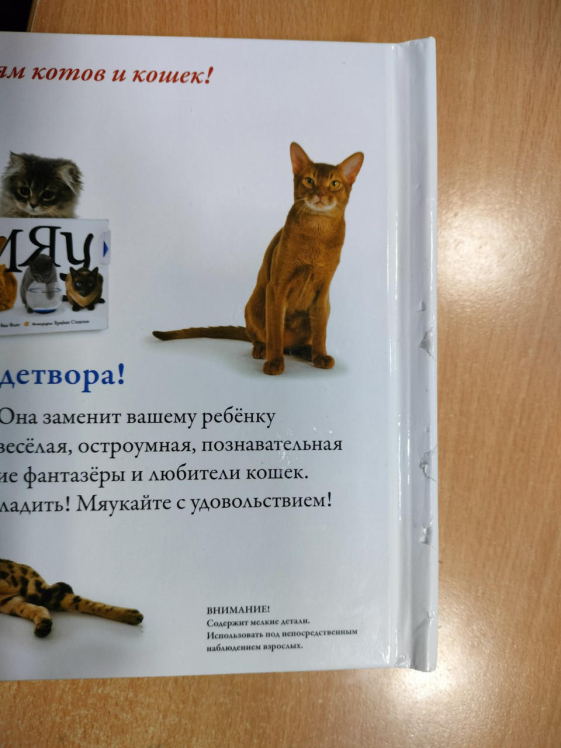 Мяу. Книга-игрушка  (уценка, брак обложки)