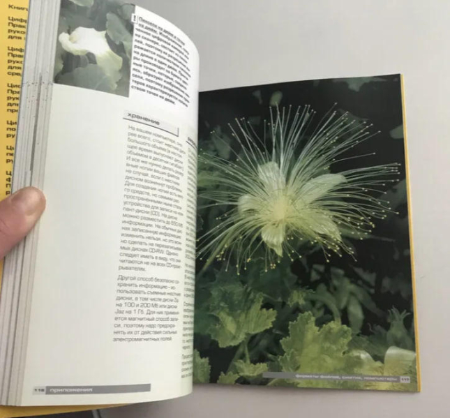 Цифровая фотография. Практическое руководство для начинающих