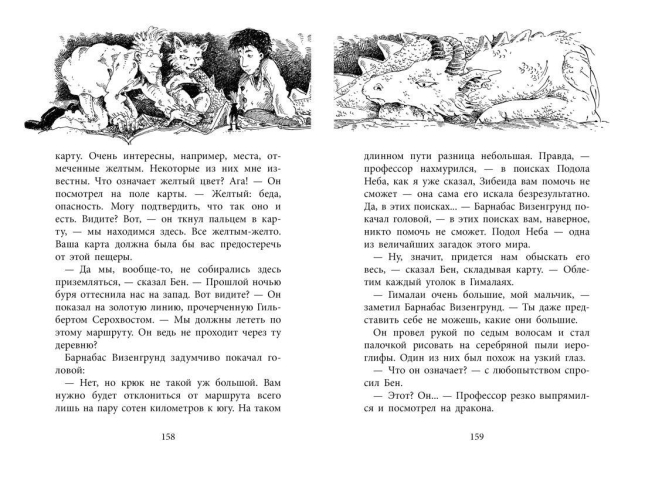 Повелитель драконов  (уценка, брак обложки)