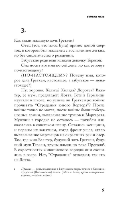 Портрет с пулей в челюсти