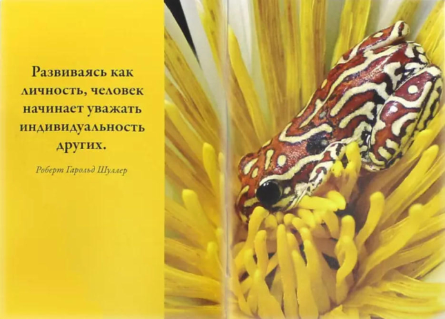 Скромные возможности – начало больших дел.