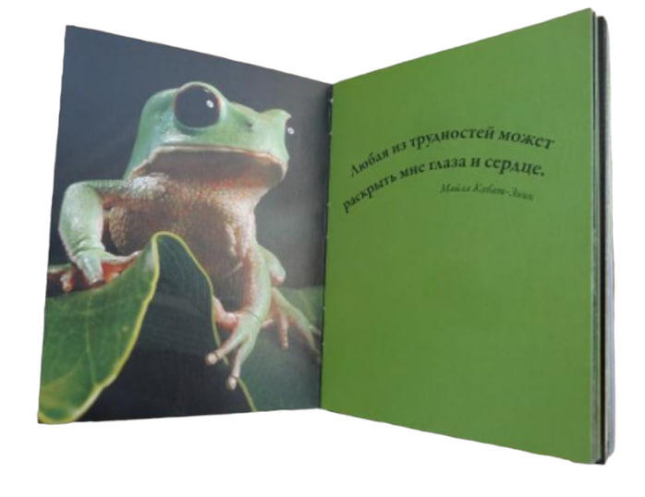 Скромные возможности – начало больших дел.