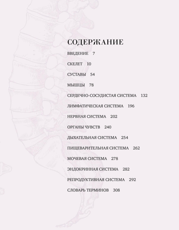 Анатомия. С иллюстрациями из классической «Анатомии Грея»