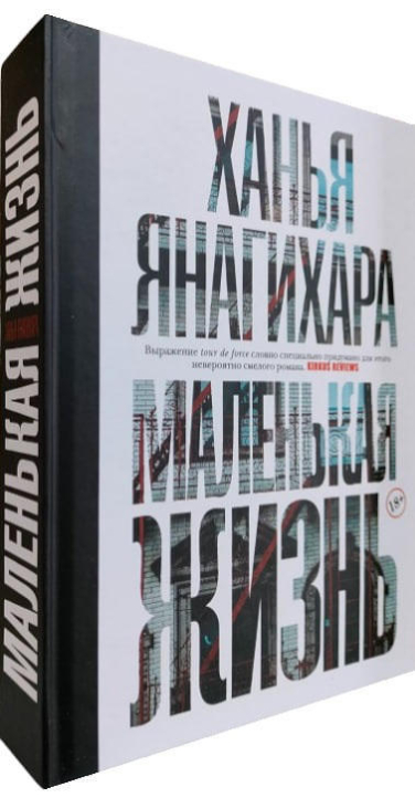 Маленькая жизнь  (твердая обл.)