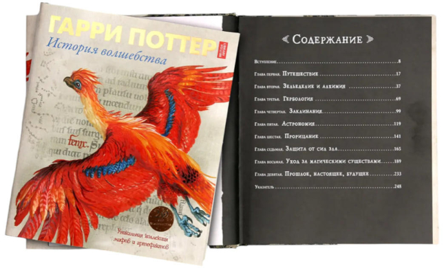 Гарри Поттер. История волшебства