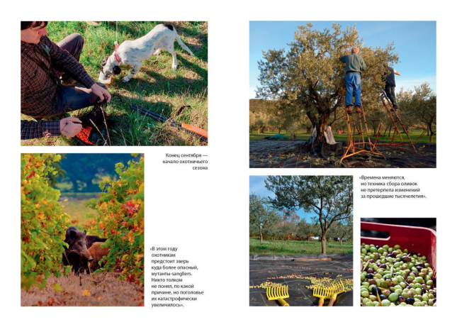 Еще один год в Провансе