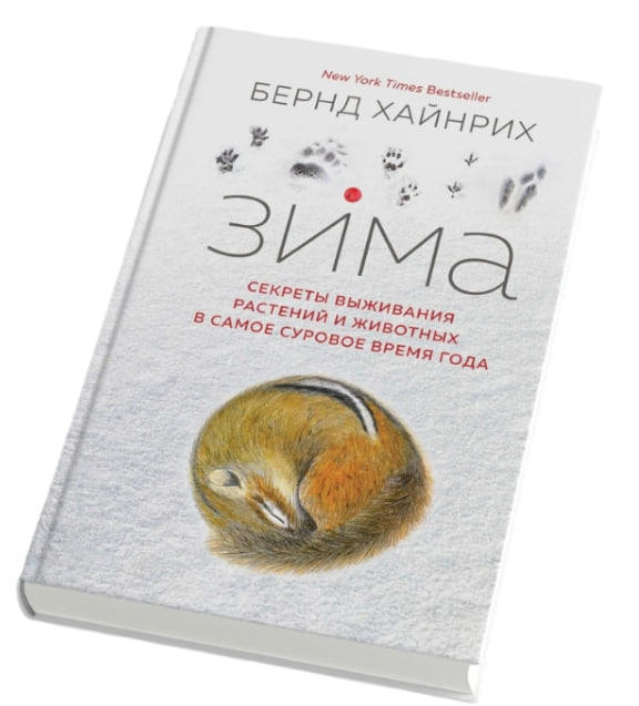 Зима. Секреты выживания растений и животных в самое суровое время года