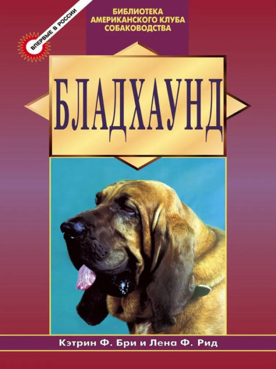 Бладхаунд
