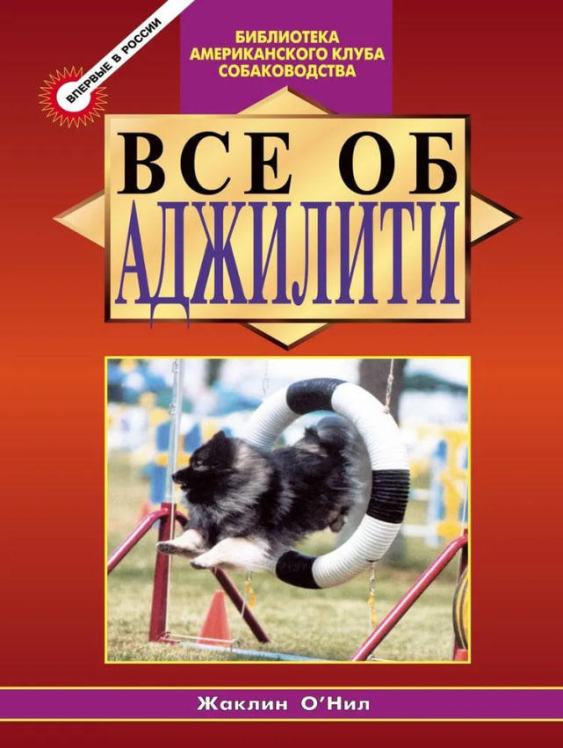 Все об Аджилити