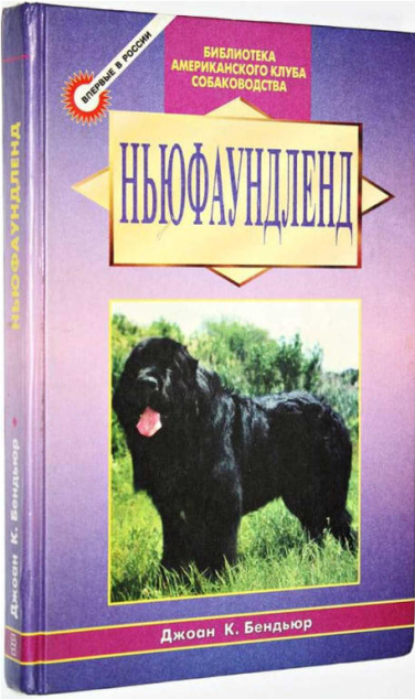 Ньюфаундленд