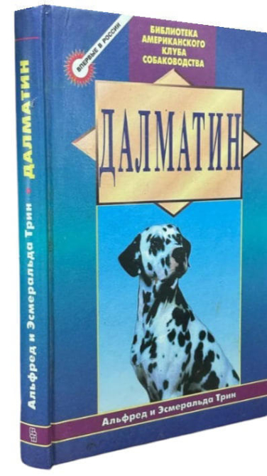 Далматин
