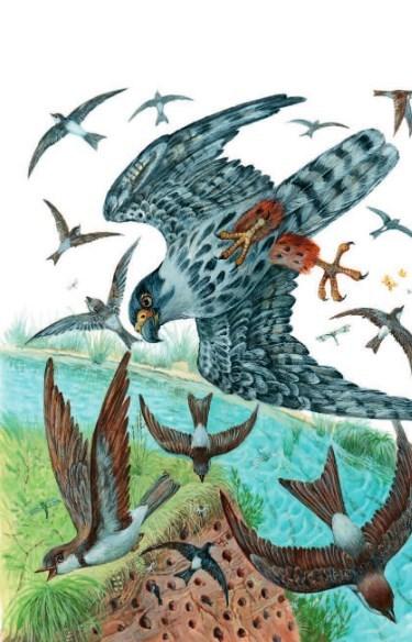 Лесные домишки