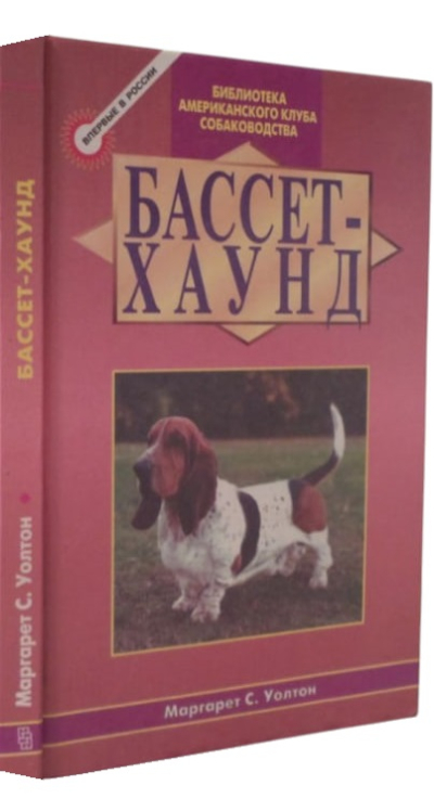Бассет – хаунд
