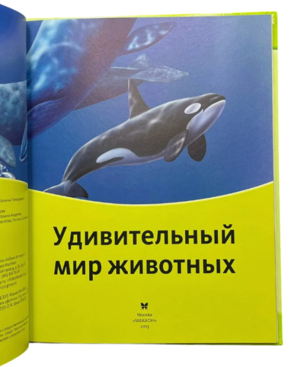 Дивовижний світ тварин. Discovery Education / Марина Семенова /