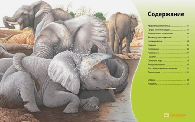 Удивительный мир животных. Discovery Education