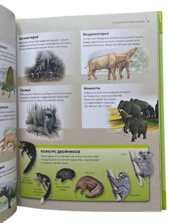 Дивовижний світ тварин. Discovery Education / Марина Семенова /
