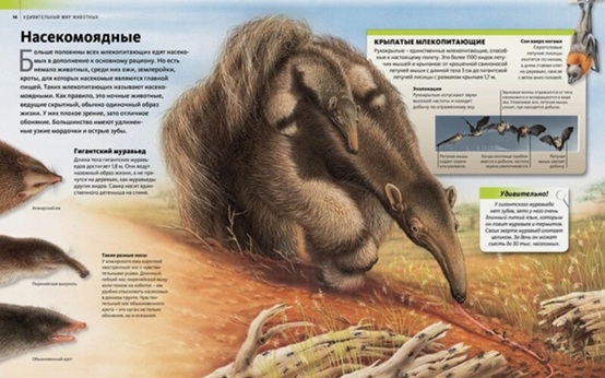 Удивительный мир животных. Discovery Education