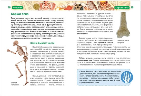 Человек. Детская энциклопедия РОСМЭН