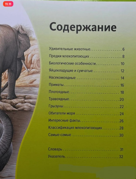 Дивовижний світ тварин. Discovery Education / Марина Семенова /