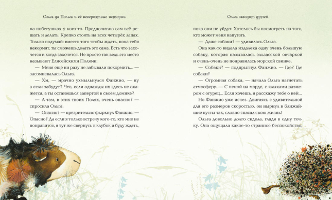 Ольга да Польга и её невероятные истории  (брак обложки)