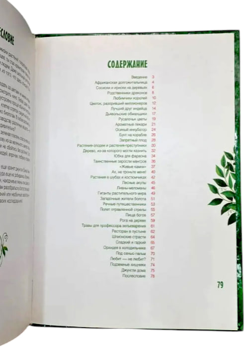 Клад на подоконнике