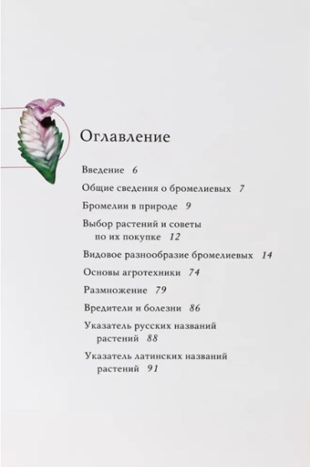 Бромелиевые. От ананаса до эхмеи