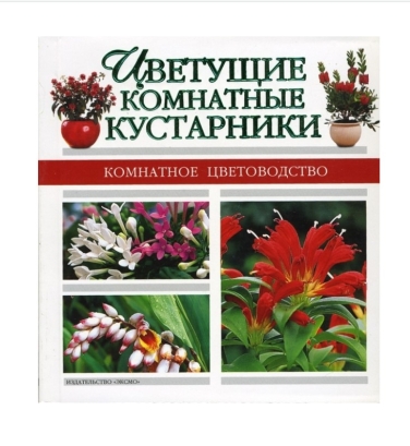 Цветущие комнатные кустарники