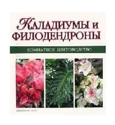 Каладиумы и филодендроны