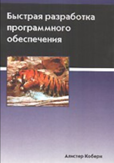 Быстрая разработка программного обеспечения