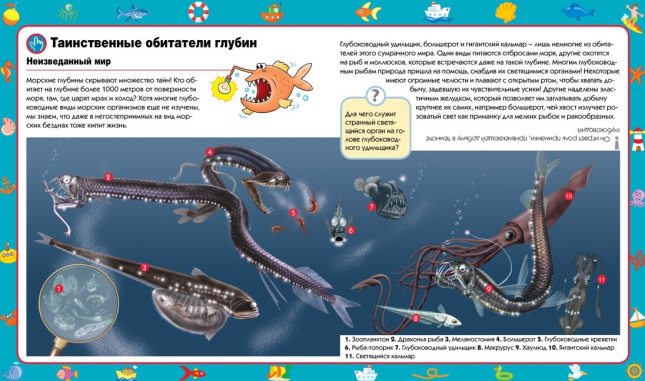 Познакомься это… море